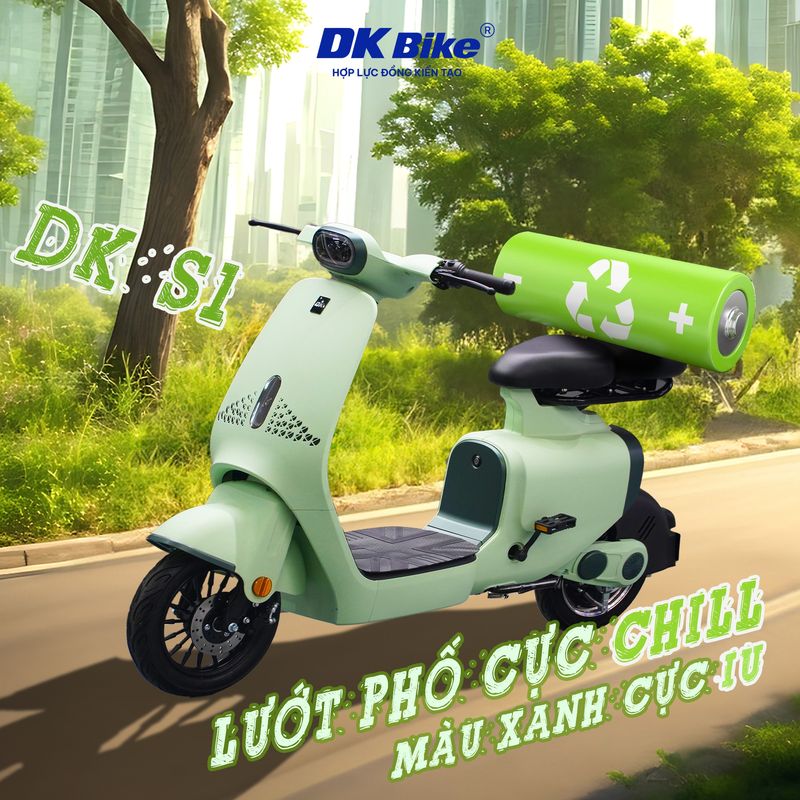xe đạp điện dk s1